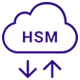 HSM-Migrations